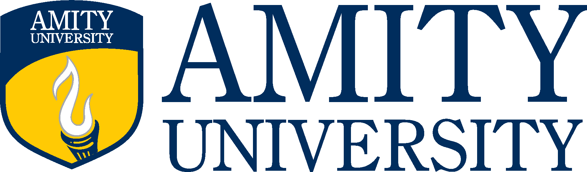 Amity University